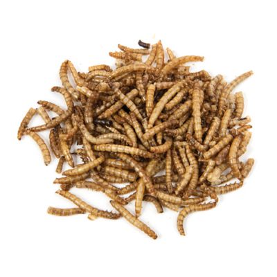 Image showing  Mealworm Poultry Treats