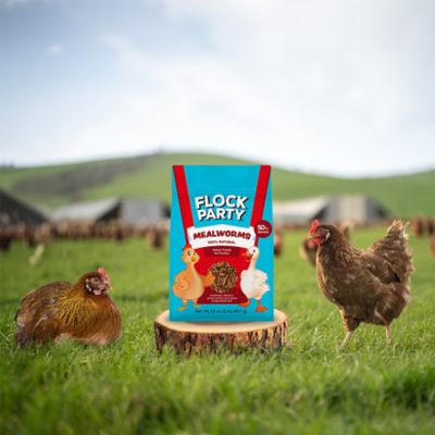Image showing 7 th Flock Party Mealworm Poultry Treats