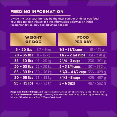 Image showing 8 th Wellness CORE+ Dry Dog Food Grains Beef & Barley