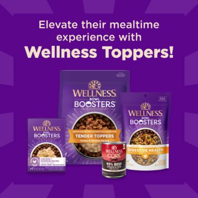 Image showing 9 th Wellness CORE+ Dry Dog Food Grains Beef & Barley