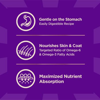 Image showing  Dry Dog Food Grains Beef & Barley