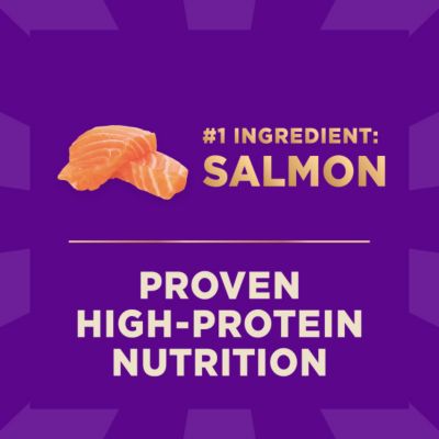 Image showing  Dry Dog Food Grains Beef & Barley