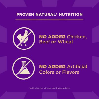 Image showing 5 th Wellness CORE+ Dry Dog Food Grains Beef & Barley