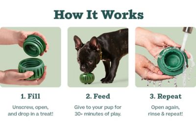 Image showing  Pupsicle Dog Toy, Extra Large, Green