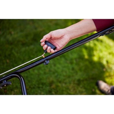 Image showing  20 in. 125cc Gas Push Lawn Mower