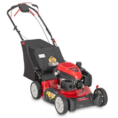 Image showing  TB310C 21 in. 3.5 HP Gas Self-Propelled Lawn Mower