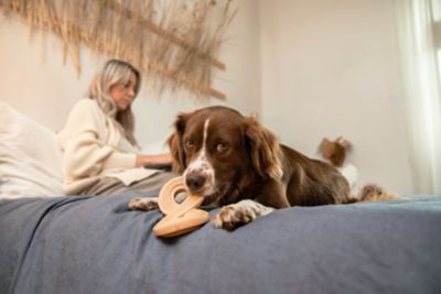 Image showing  Everlast Infinity Dog Bone - Large