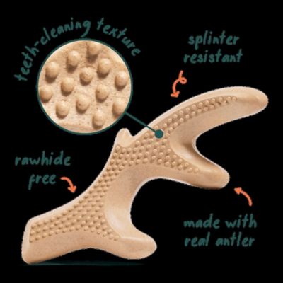 Image showing  Everlast Antler Dog Chew - Large