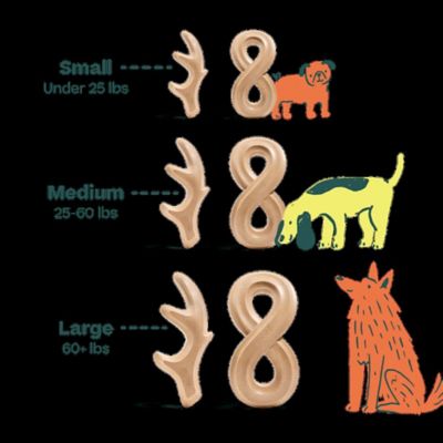 Image showing  Everlast Antler Dog Chew - Large