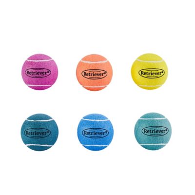 Retriever Colorful Logo Tennis Ball Dog Fetch Toy