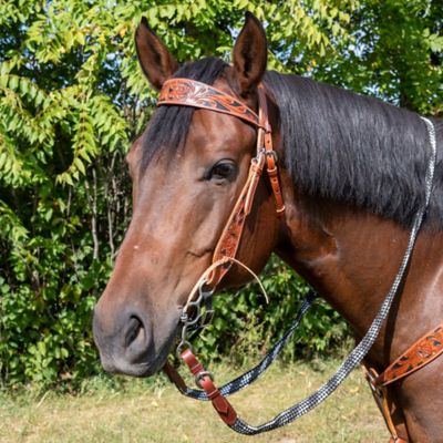 Image showing  Dakota Browband Headstall