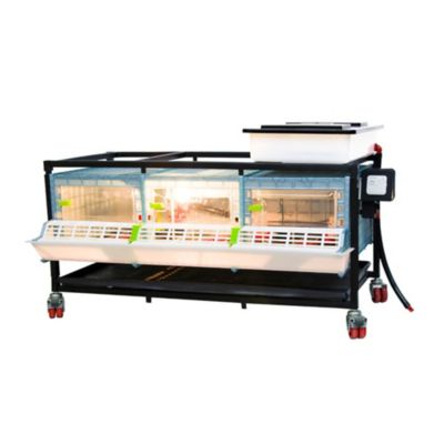 Image showing  Comfortplast Chick Brooder -1 Layer H 9.5 in., 3 Section Per Layer