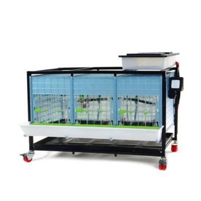 Hatching Time Chick Brooder - 1 Layer H 15 ft.
