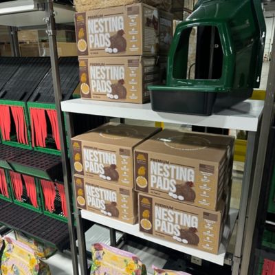 Image showing 7 th Hatching Time 3 Section Nesting Box, Back Collection for 30 birds