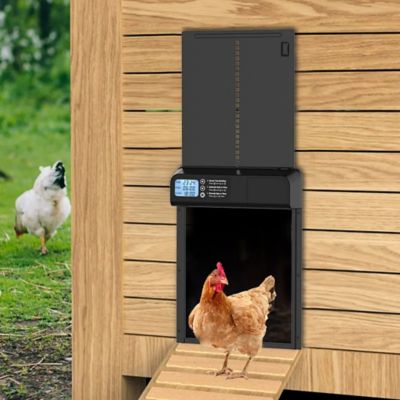 Image showing  Smart Automatic Chicken Coop Door with Timer
