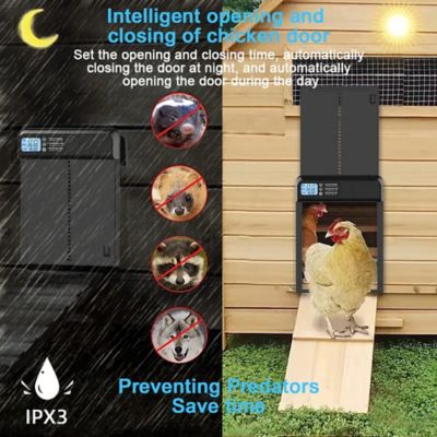 Image showing  Smart Automatic Chicken Coop Door with Timer