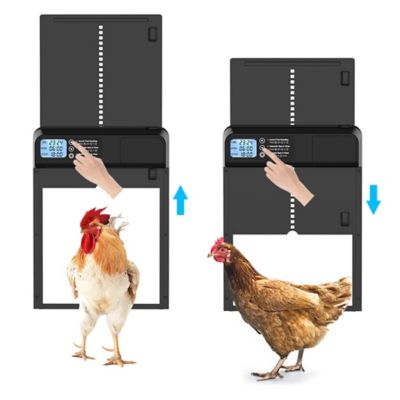 Image showing  Smart Automatic Chicken Coop Door with Timer