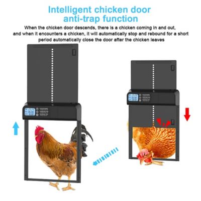 Image showing 5 th Hatching Time Smart Automatic Chicken Coop Door with Timer