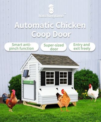 Image showing  Sungate Solar Powered Automatic Chicken Coop Door with Remote
