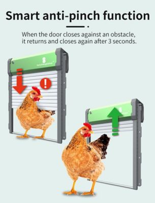 Image showing  Sungate Solar Powered Automatic Chicken Coop Door with Remote