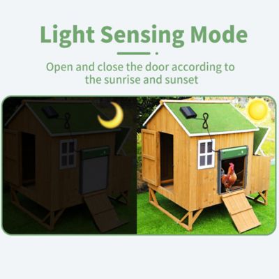 Image showing 6 th Hatching Time Sungate Solar Powered Automatic Chicken Coop Door with Remote
