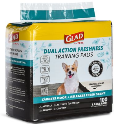 Image showing  Dual Action Freshness Scent Release Training Pads, 100 ct.