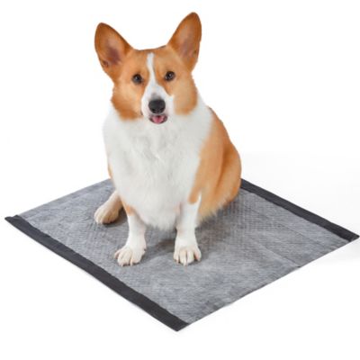 Image showing  Dual Action Freshness Scent Release Training Pads, 100 ct.