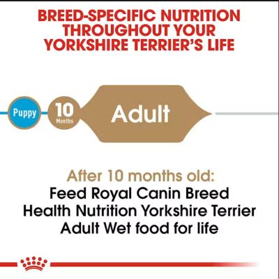 Image showing  Breed Health Nutrition Yorkshire Terrier Adult Loaf Pate in Sauce Wet Dog Food, 3 oz., Pack of 6 Cans