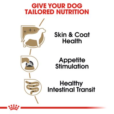 Image showing  Breed Health Nutrition Adult Yorkshire Terrier Loaf Pate in Sauce Wet Dog Food 3 oz., 6 pk.