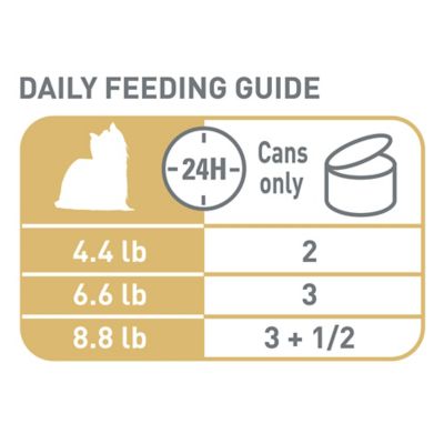 Image showing 5 th Royal Canin Breed Health Nutrition Adult Yorkshire Terrier Loaf Pate in Sauce Wet Dog Food 3 oz., 6 pk.