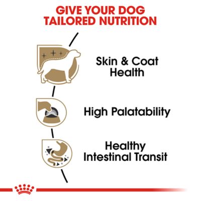 Image showing  Breed Health Nutrition Adult Chihuahua Loaf Pate in Sauce Wet Dog Food 3 oz., 6 pk.