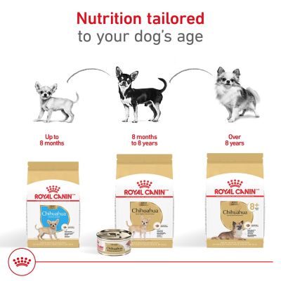 Image showing  Breed Health Nutrition Adult Chihuahua Loaf Pate in Sauce Wet Dog Food 3 oz., 6 pk.