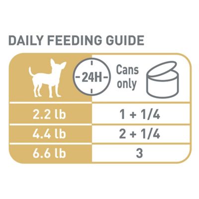 Image showing 5 th Royal Canin Breed Health Nutrition Adult Chihuahua Loaf Pate in Sauce Wet Dog Food 3 oz., 6 pk.