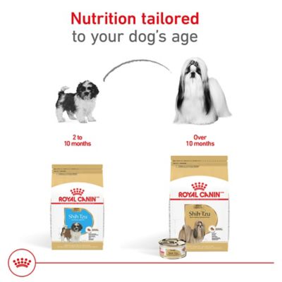 Image showing 5 th Royal Canin Breed Health Nutrition Adult Shih Tzu Loaf Pate in Sauce Wet Dog Food 3 oz., 6 pk.