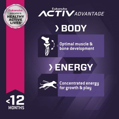 Image showing 2 th Eukanuba Puppy Large Breed Chicken Formula Dry Dog Food