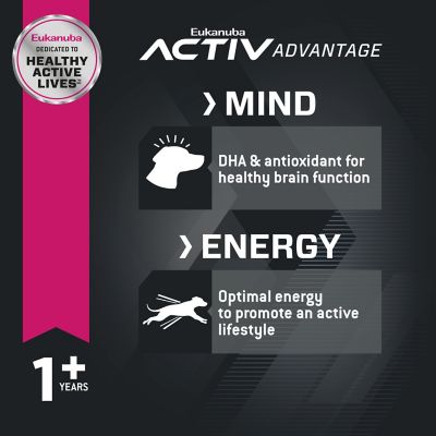 Image showing 2 th Eukanuba Adult Medium Breed Chicken Dry Dog Food