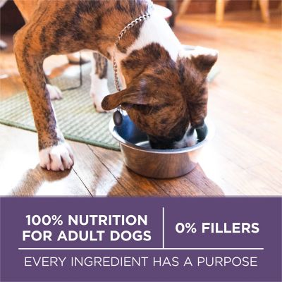 Image showing 6 th Purina ONE High Protein Dry Senior Dog Food Plus Vibrant Maturity Adult 7 Plus Formula