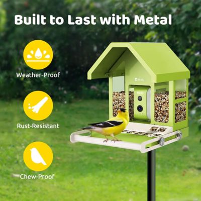 Image showing  2.5 L Smart Bird Feeder, Metal, AI by Subscription