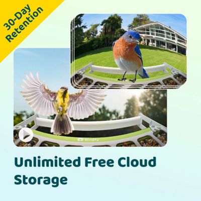 Image showing  2.5 L Smart Bird Feeder, Metal, AI by Subscription