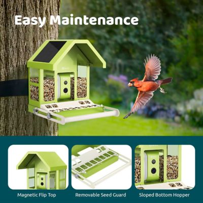 Image showing 7 th Birdfy 2.5 L Smart Bird Feeder, Metal, AI by Subscription