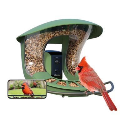 Image showing  1.25 L Smart Bird Feeder 2, AI by Subscription + Solar