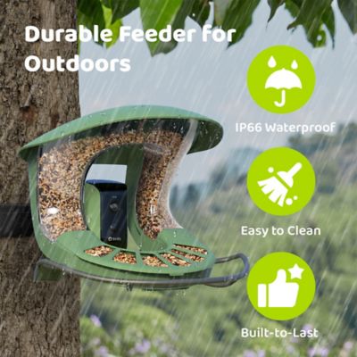 Image showing  1.25 L Smart Bird Feeder 2, AI by Subscription + Solar