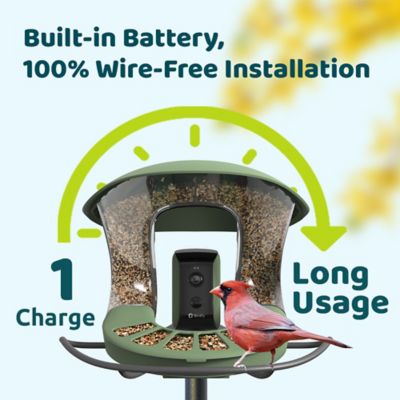 Image showing  1.25 L Smart Bird Feeder 2, AI by Subscription + Solar