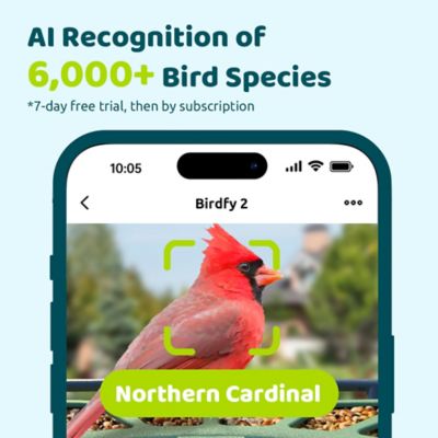Image showing 6 th Birdfy 1.25 L Smart Bird Feeder 2, AI by Subscription + Solar