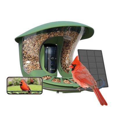 Birdfy 1.25 L Smart Bird Feeder 2 Pro, AI by Subscription Plus Solar