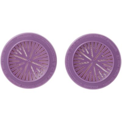 Image showing  P100 Filter