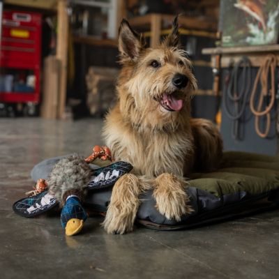 Image showing  Squeaky Game Bird Plush Dog Toy, Assorted