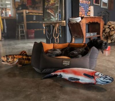 Image showing  Realistic Printed Fish Plush Jumbo Dog Toy, Assorted