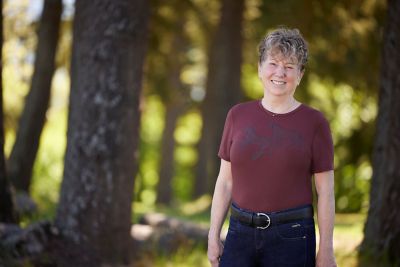Image showing  Women's On The Double Horse T-Shirt