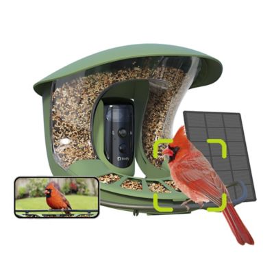 Image showing  1.25 L Smart Bird Feeder 2 Pro, Free AI Plus Solar